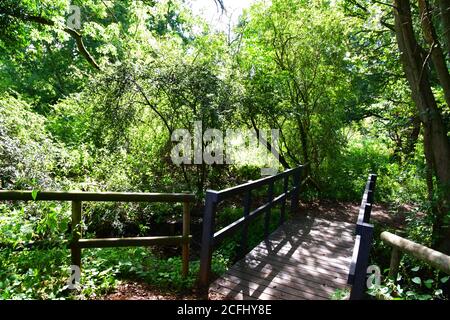 Bridge over a waterway at Lackford Lakes, Nature Reserve, Suffolk, UK Stock Photo