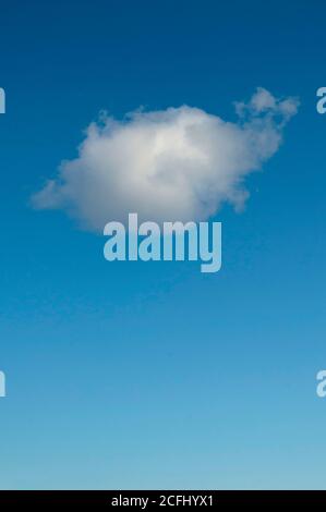 single white cloud on a blue clear sky Stock Photo