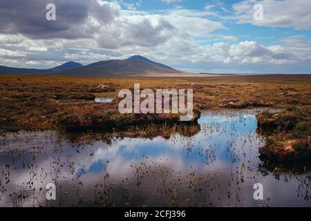 Looking out over the Forsinard Peatlands towards the Ben Griams Stock Photo