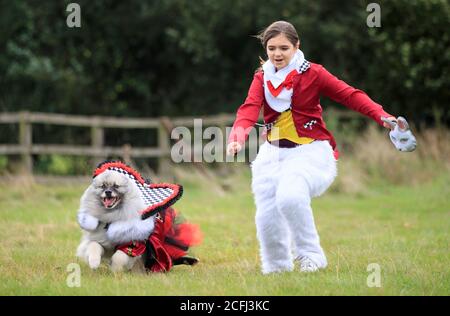 Lily Blathorn with Keisha the Keeshond dog, dressed as the White Rabbit and Queen of Hearts, during an Alice in Wonderland and Charlie and the Chocolate Factory themed Furbabies Dog Pageant at Jodhpurs Riding School in Tockwith, North Yorkshire. Stock Photo