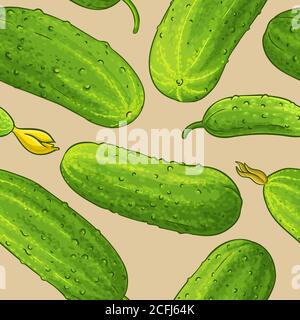 cucumber vector pattern Stock Vector