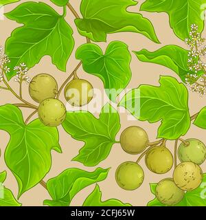 kukui vector pattern Stock Vector