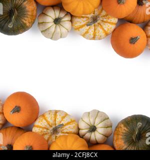 Frame of various pumpkins isolated on white background , Halloween concept , copy space for text Stock Photo