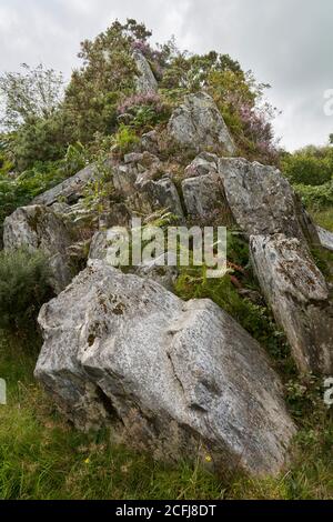 Craig Rhos-y-Felin, Pont Saeson. Crosswell, Pembrokeshire, where some Stonehenge bluestones were quarried Stock Photo