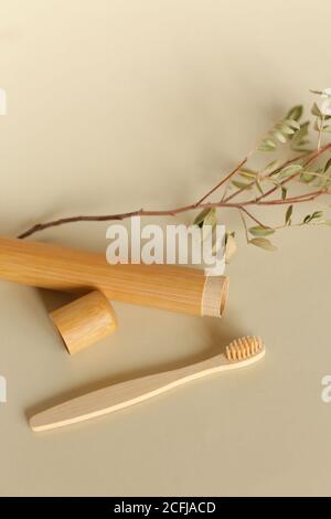 Ecological wooden toothbrush and case on isolated background near twig. Stock Photo