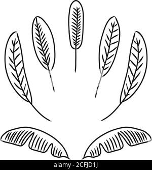 Hand drawn black laurel divider certificate. depicting an award ...