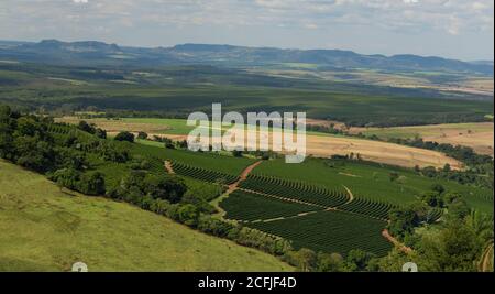 Coffee plantation farm in the mountains landscape on a claudy day Stock Photo