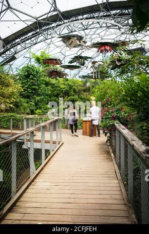 Visitors inside the rainforest Biome at the Eden project complex in Cornwall. Stock Photo