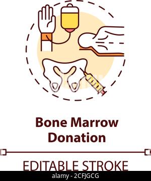 Bone marrow donation concept icon Stock Vector