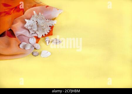 Beautiful orange steam and sea shells lie on a yellow background. Flat lay. Copy spaes Stock Photo