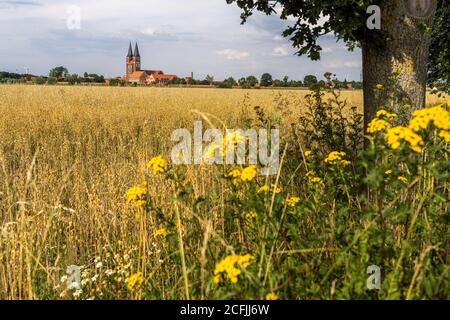 Landwirtschaft rund um das  Kloster Jerichow mit Stiftskirche in Jerichow, Jerichower Land, Sachsen-Anhalt, Deutschland |  Agriculture around Jerichow Stock Photo
