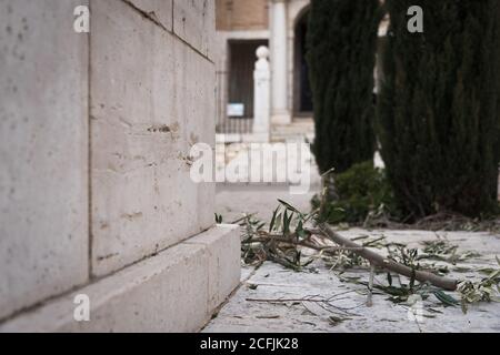 Olive branch on the ground during the religious celebration of Holy Week in Colmenar de Oreja, Madrid, Spain Stock Photo