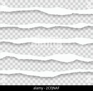 Torn paper edges. Vector torn papers set on transparent background. Isolated ripped paper edges with soft shadow. Stock Vector