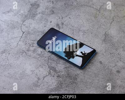Assam, india - September 6, 2020 : Kindle logo on phone screen stock image. Stock Photo
