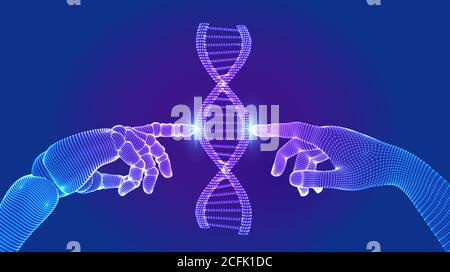 Wireframe DNA sequence molecules structure mesh. Hands of robot and human touching on DNA connecting in virtual interface on future. Artificial Stock Vector