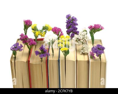 Old books with flowers on white background Stock Photo