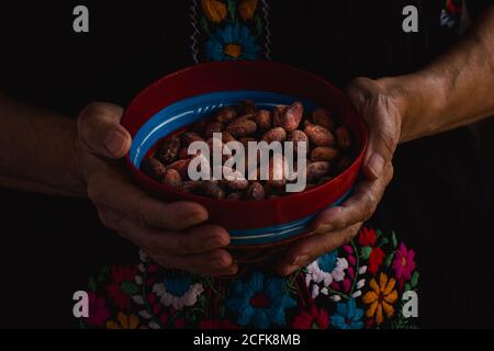 Cacao beans on a traditional colorful bowl from Oaxaca, Mexico Stock Photo