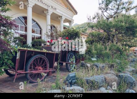 Pocheon, South Korea – 10 May, 2017: decorated with flowers wagon near Athene hall at Herb Island park Stock Photo