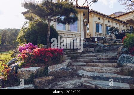 Pocheon, South Korea – 10 May, 2017: granite staicase decorated with rhododendron bushes and spruce tree to the Athene hall of Herb Island Stock Photo