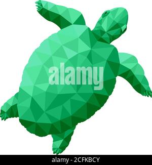 Beautiful low poly illustration with green stylized turtle on white background Stock Vector