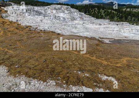 Minerva Terrace in the Mammoth Hot Springs Area, Yellowstone National Park Stock Photo