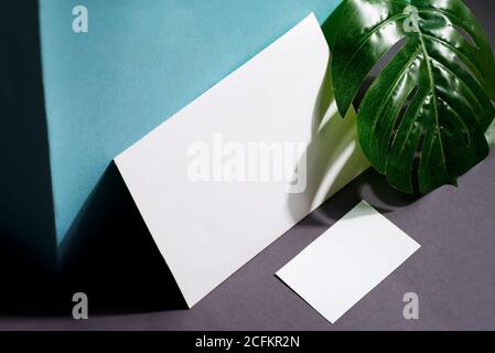 Mock-up empty white paper postcards for text, messages on a black color background with green tropical palm leaf and copy space. Top view. Congratulat Stock Photo