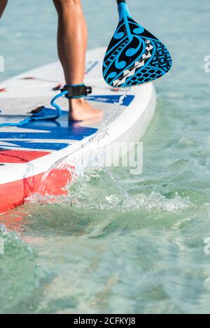 Crop anonymous female surfer standing on surfboard and rowing with paddle while practicing on surface of sea in summer Stock Photo