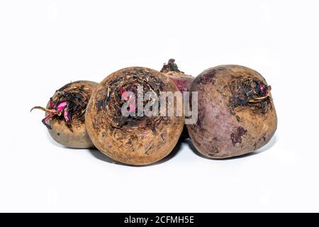 Isolated beetroot. Whole beetroot isolated on white backgrounds Stock Photo