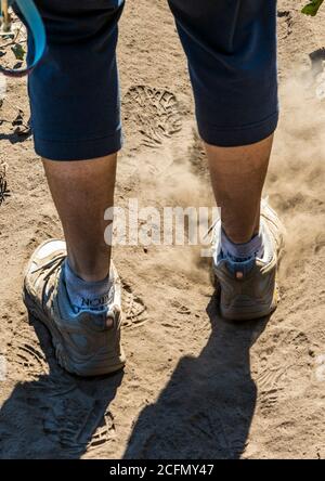 Close-up of boots; female hiker walking through very fine ash; Decker Forest Fire; Central Colorado; USA Stock Photo