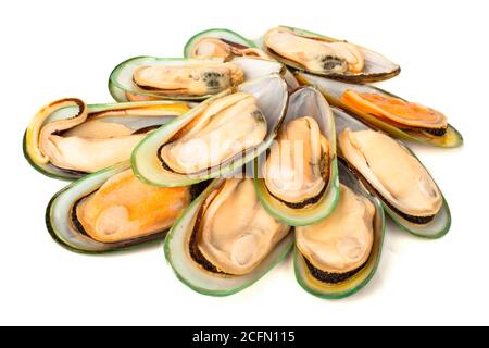 Female New Zealand greenshell mussels studio isolated on white background Stock Photo