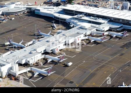 Virgin Australia domestic Terminal 2 at Sydney Airport, Australia. Passengers terminal with multiple 737 aircraft. Domestic air travel in Australia. Stock Photo