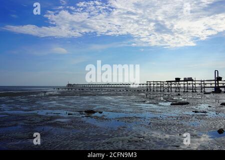 Driftwood Beach Fishing Pier Background Mid Afternoon Jekyll Island Stock  Photo by ©wirestock_creators 589591384