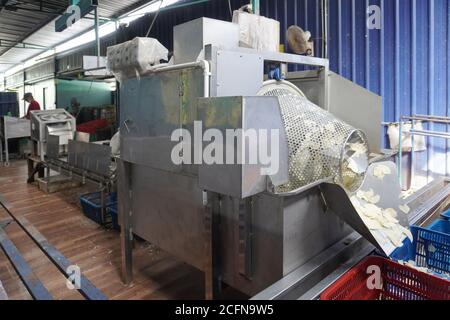 Traditional tapioca chips factory at Tanjung Sepat, Malaysia Stock ...