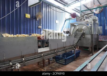 Traditional tapioca chips factory at Tanjung Sepat, Malaysia. Stock Photo