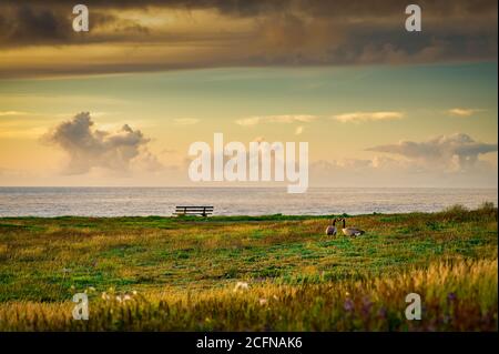 Coastal sunset with storm clouds and bench overlooking ocean Stock Photo