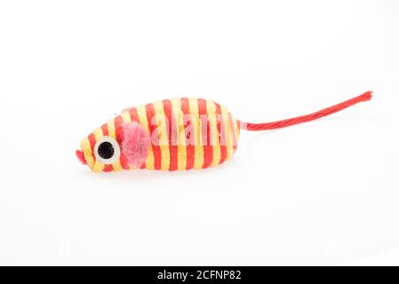 A cat toy that looks like a stripey mouse, photographed isolated on a white background. Stock Photo