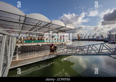 The Netherlands, Rotterdam, the  first  floating farm with 40 cows in the world. Innovative, sustainable, energy neutral and circular. Stock Photo