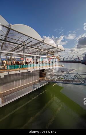 The Netherlands, Rotterdam, the  first  floating farm with 40 cows in the world. Innovative, sustainable, energy neutral and circular. Stock Photo