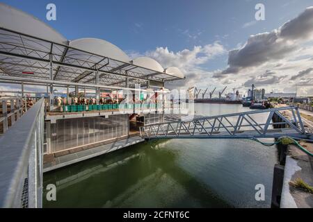 The Netherlands, Rotterdam, the  first  floating farm with 40 cows in the world. Innovative, sustainable, energy neutral and circular. Stock Photo