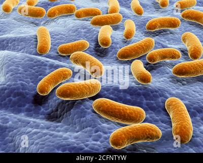Viruses And Bacteria Under Microscope 3d Rendered Bacteria And Viruses Stock Photo Alamy Viruses And Bacteria Under Microscope 3d Rendered Bacteria And Viruses Stock Photo Alamy