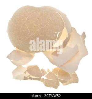 Cracked egg shells isolated on white background Stock Photo