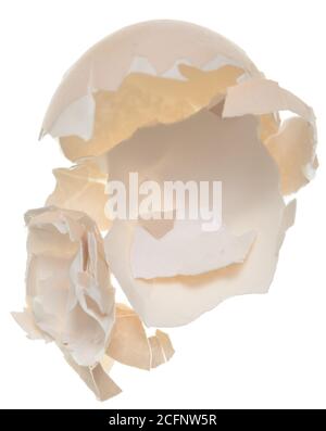 Cracked egg shells isolated on white background Stock Photo