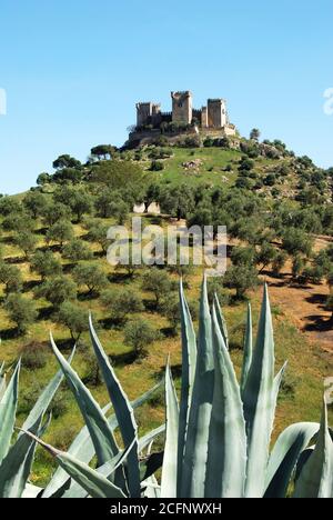 View of the Castle on top of the hill, Almodovar del Rio, near Cordoba, Cordoba Province, Andalucia, Spain, Europe. Stock Photo