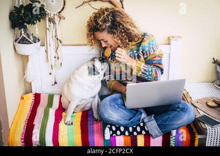 Cheerful beautiful young woman share a cookie with her funny and lovely pug dog while work with laptop computer at home on a coloured cover - concept Stock Photo