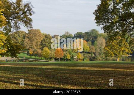 Scenic view across Abington Park in Autumn, Northampton, UK Stock Photo