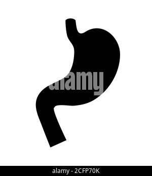 Stomach icon silhouette on white background. Internal organ without details Stock Vector