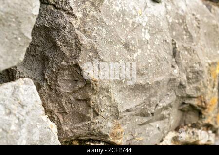 Close-up of natural large stones. Abstract texture. Selective focus. Stock Photo