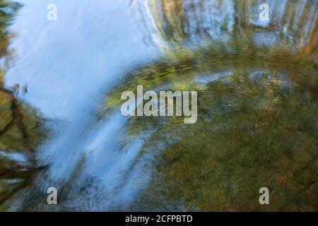 Beautiful ripples move through the water of a clam woodland pond. Trees and bright blue sky are visible, with copy space. Stock Photo