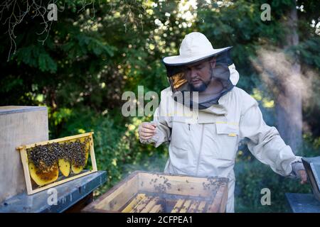 Portrait of man beekeeper working in apiary. Stock Photo
