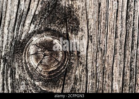 Texture of old and weathered wood, Netherlands Stock Photo